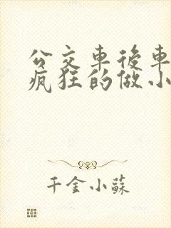 公交车后车座的疯狂的做小