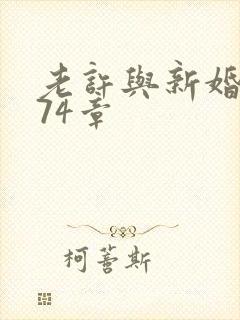 老许与新婚小倩74章