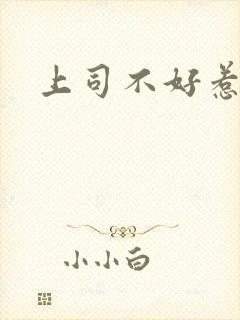 上司不好惹