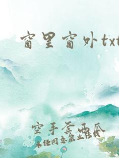 窗里窗外txt
