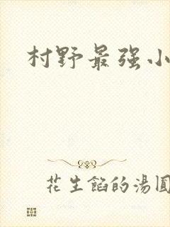 村野最强小农民