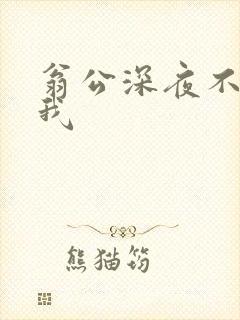 翁公深夜不停要我