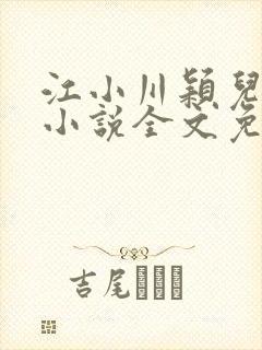 江小川颖儿穿越小说全文免费阅读