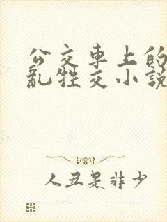 公交车上的疯狂乱牲交小说