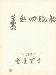 叶熙四胞胎厉子墨