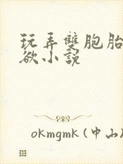 玩弄双胞胎的肉欲小说