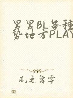 男男BL各种姿势地方PLAY文