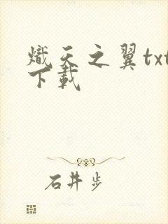 炽天之翼txt下载