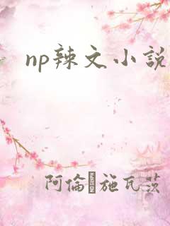 np辣文小说