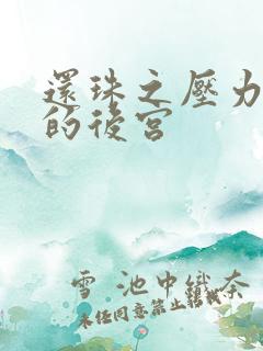 还珠之压力山大的后宫