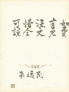 可惜没有如果小说全文免费阅读