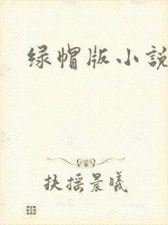 绿帽版小说