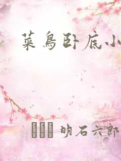 菜鸟卧底小正太