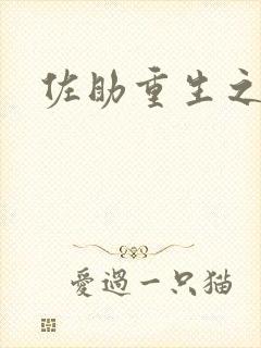 佐助重生之死神