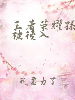 王者荣耀孙尚香被后入