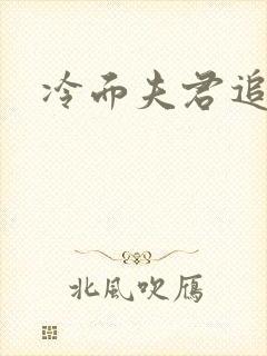 冷面夫君追逃妻