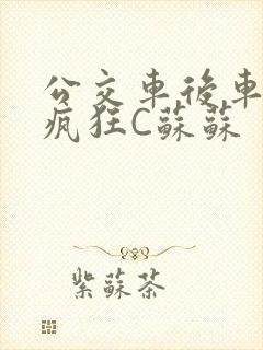 公交车后车座的疯狂C苏苏