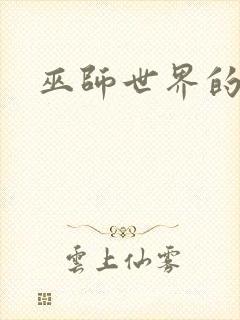 巫师世界的法师