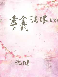 黄金法眼txt下载