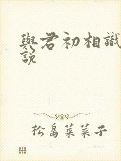 与君初相识 小说