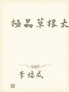 极品草根太子