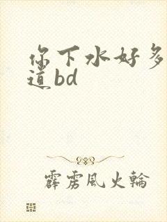你下水好多下水道bd