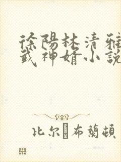 徐阳林清雅绝世武神婿小说