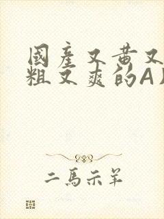 国产又黄又猛又粗又爽的A片小说