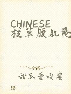 CHINESE校草腹肌飞机视频