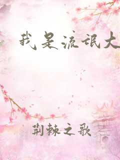 我是流氓大律师