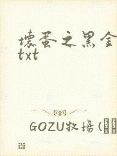 坏蛋之黑金帝国txt