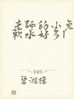老师的小兔子好软水好多l