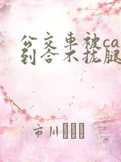 公交车被cao到合不拢腿app