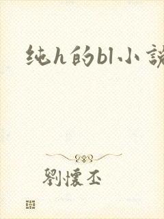 纯h的bl小说