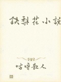 铁梨花小说