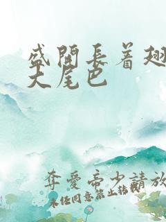 盛开长着翅膀的大尾巴