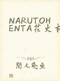NARUTOHENTA花火本子