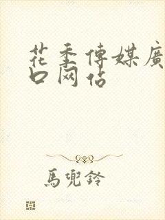 花季传媒广告入口网站