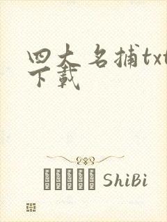 四大名捕txt下载