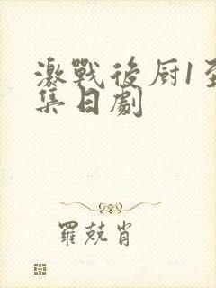 激战后厨1至5集日剧