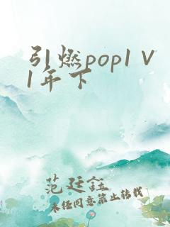 引燃pop1∨1年下