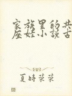 家族里的共用小座娃小说古代