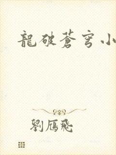 龙破苍穹小说