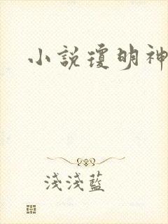 小说琼明神女录