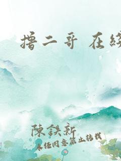 撸二哥 在线