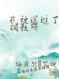 我被送进了私奴调教所