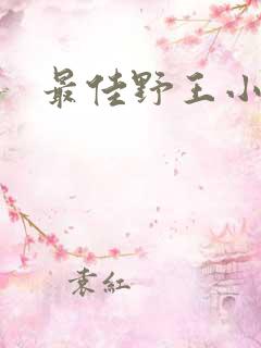 最佳野王小说