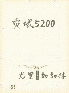 灵域5200
