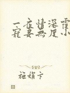 一夜情深霍先生宠妻无度小说免费阅读