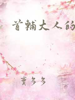 首辅大人的套路